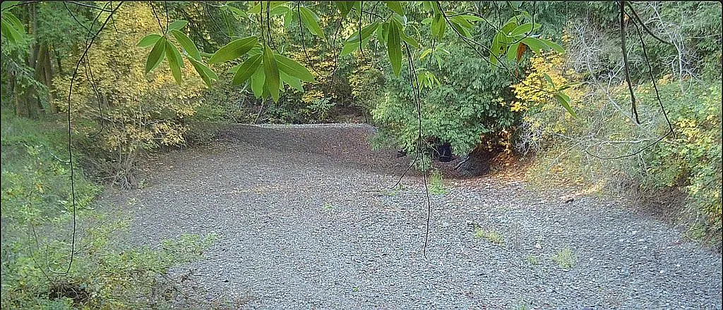9500 Bohemian Hwy - Photo 3
