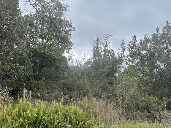 2nd image of 92-2232 Palm Pkwy Lot 6