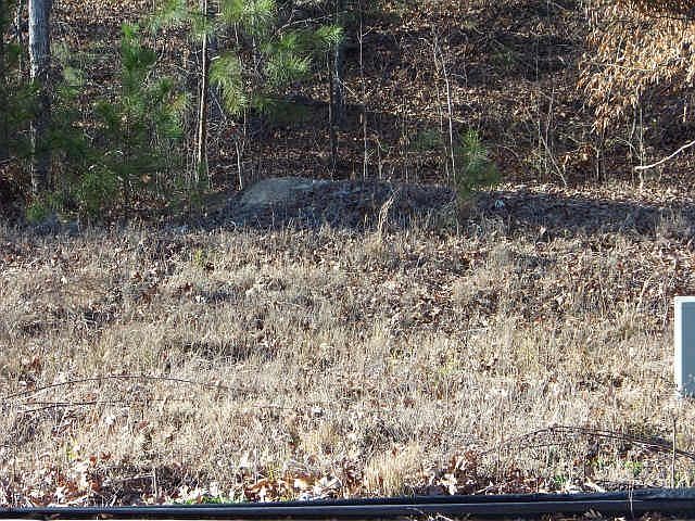 1st image of 1179 Mitford Ln