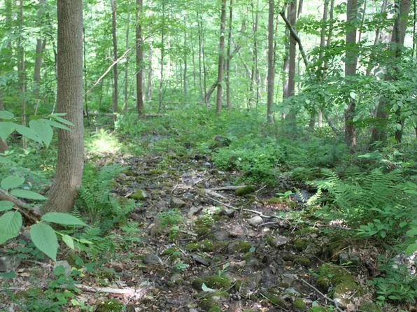 Route 475 Maddensville Pike, Orbisonia, PA 17243