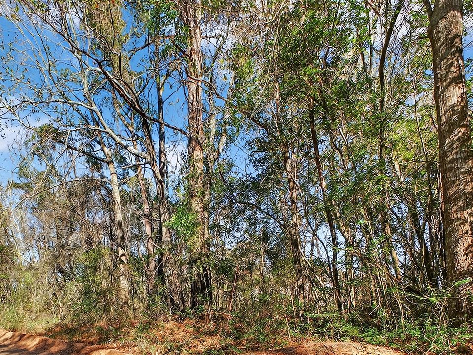 2nd image of 449 Harlem St