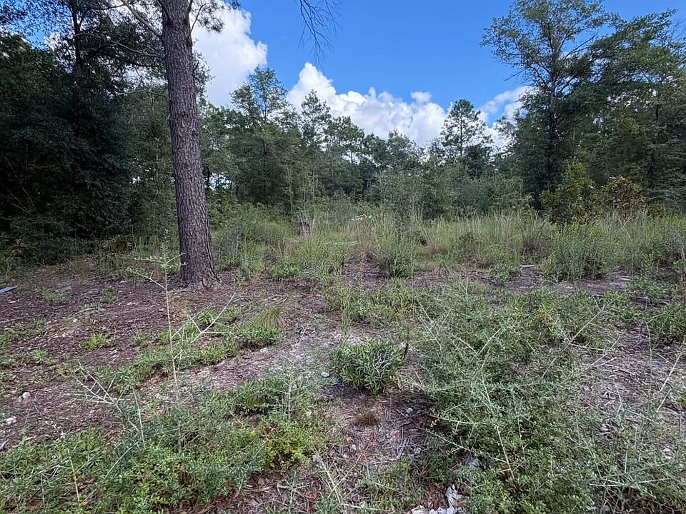 1st image of E Picasso Cir