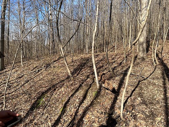 5th image of Hickson Run Rd