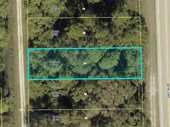 2249 Joel BLVD, ALVA, FL 33920