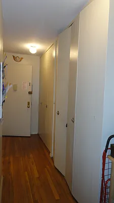 Rented by Manhattan Flats | media 7