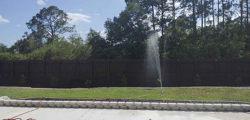 back yard
