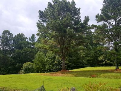 126 Flat Branch Rd, Ellijay, GA, 30540