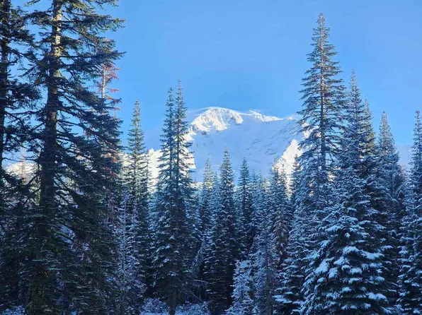 0 Everitt Memorial Hwy, Mount Shasta, CA 96067