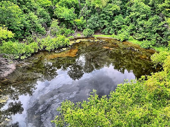2nd image of 8540 Dixie School Rd