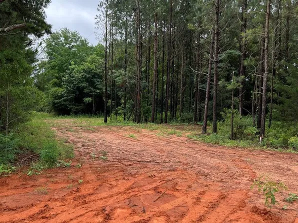 1 County Rd Parcel 2, Banks, AL 36005