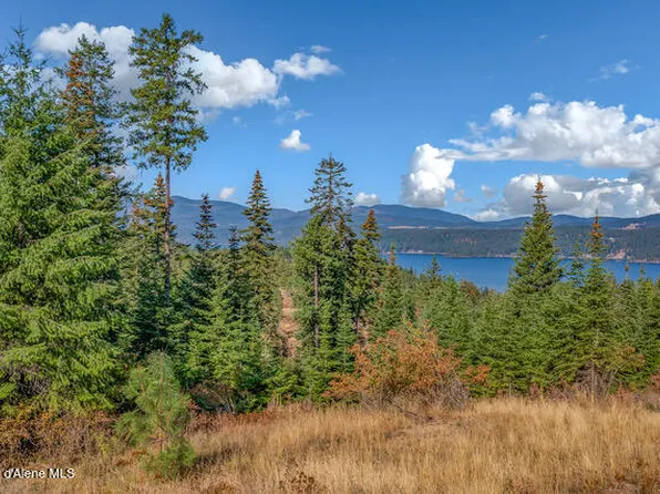 9130 Lahaina Rd, Harrison, ID 83833