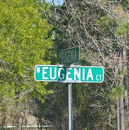 3rd image of 10 Eugenia Ct W