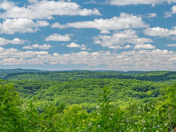 View of mountain backdrop with a forest from unit