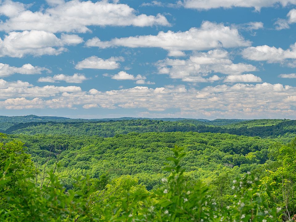 View of mountain backdrop with a forest from unit