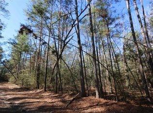 21 Parkside Loop, Brookeland, TX 75931