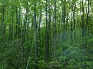 200th Ave, Morley, MI 49336