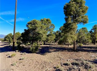 Pinion Pine Rd, Pioche, NV 89043