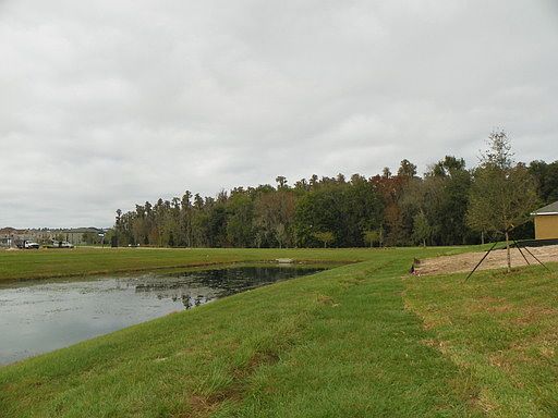 5th image of 19246 Early Violet Dr