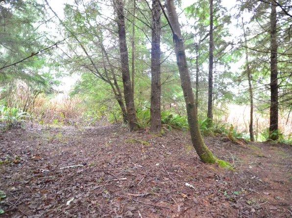 5510 Wee Willie Ln, Tillamook, OR 97141