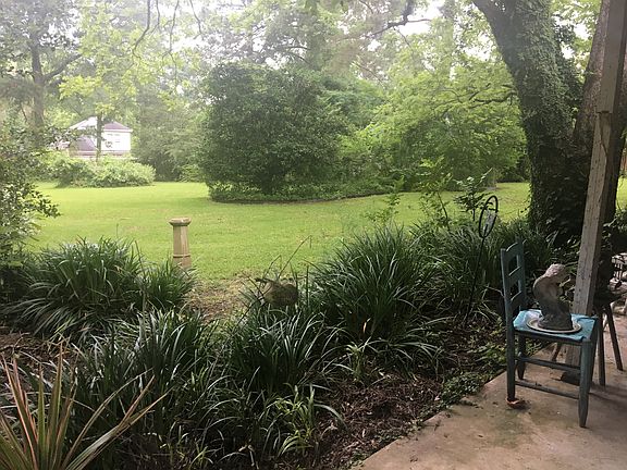 back yard-rear lot