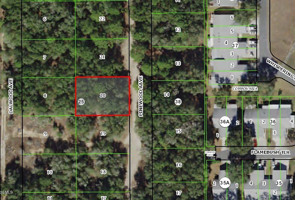 2nd image of 703 Pinewood Ave