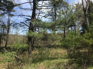 Lake Rd #L1, Iola, WI 54945