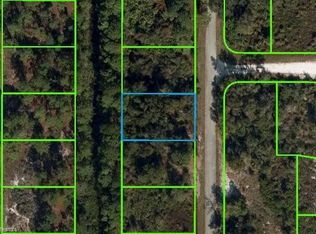 311 Johnson Ave NE, Lake Placid, FL 33852