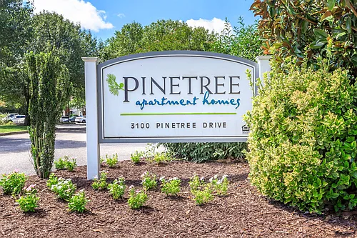 Pinetree Photo 1
