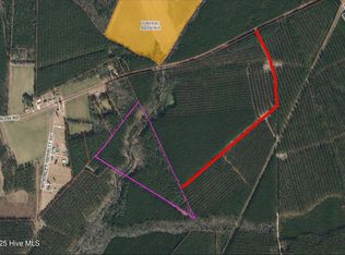 0 Shiloh Road, Willard, NC 28478