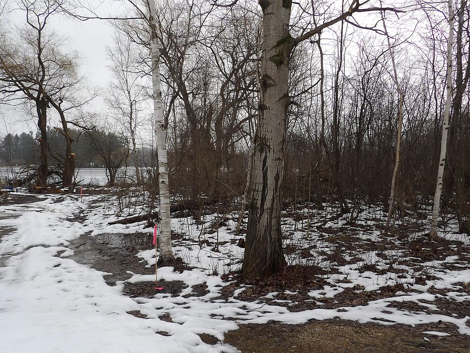 1st image of Basswood Dr