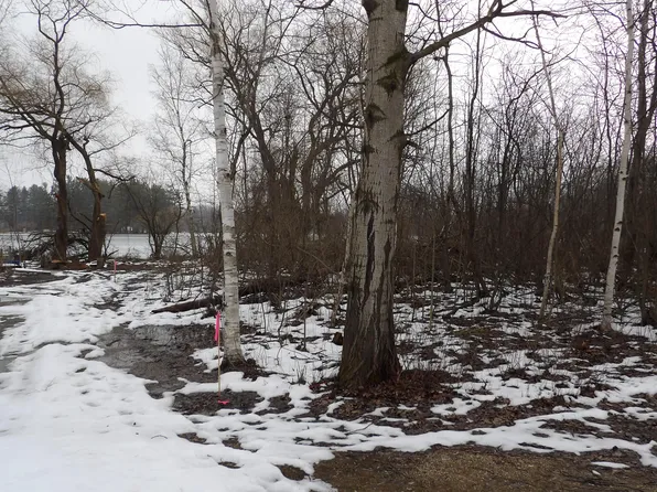 Basswood Dr, Sears, MI 49679