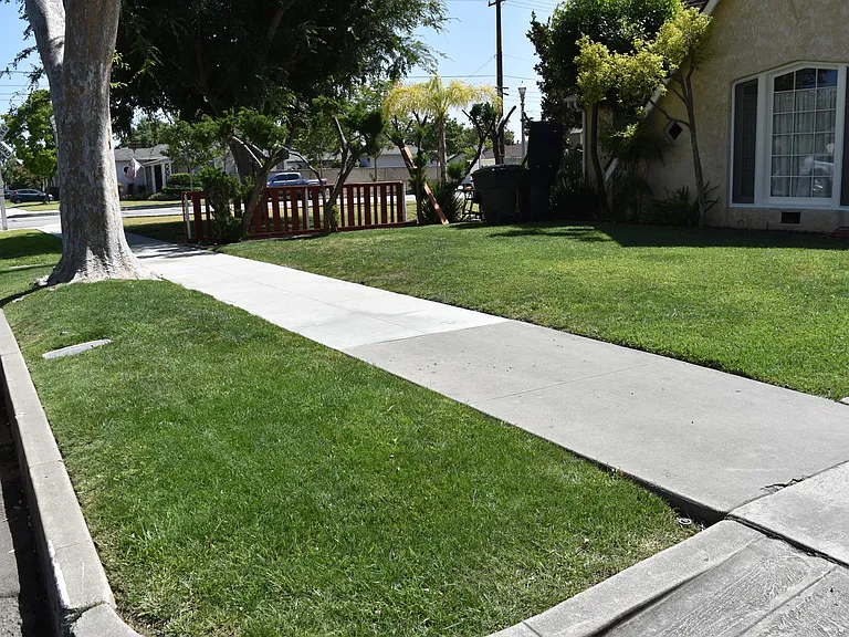 front yard