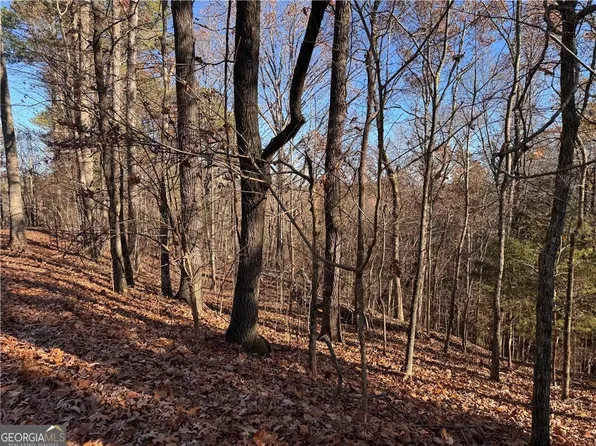 129 Adair Dr NE, Ranger, GA 30734