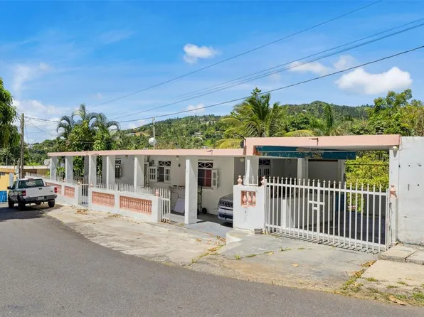 (undisclosed Address), Cayey, PR 00736
