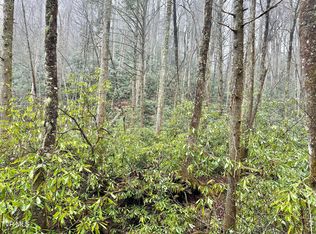 2 Three 4 Heaton Branch Rd, Butler, TN 37640