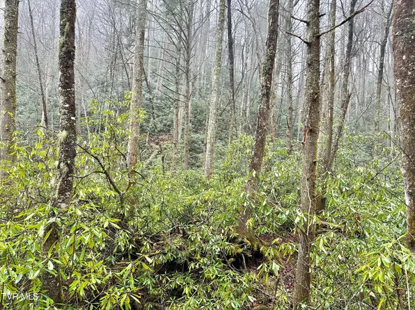 2 Three 4 Heaton Branch Rd, Butler, TN 37640