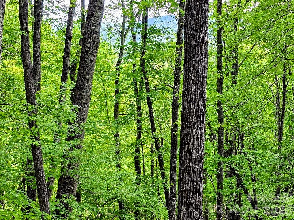1st image of 0 Hickory Springs Rd #12