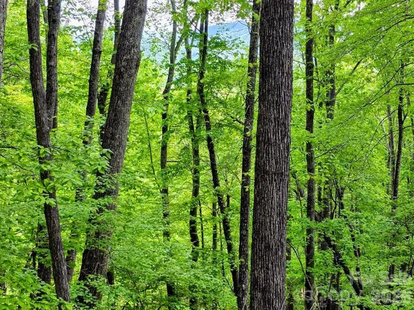 0 Hickory Springs Rd #12, Burnsville, NC 28714