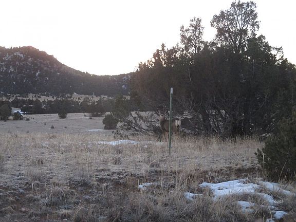 5th image of 148 Chocktaw Dr