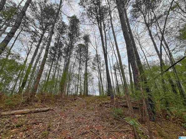 4040 Pine St #4040, Birmingham, AL 35210