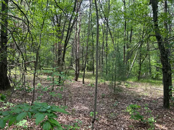 19784 W Yankee Rd, Howard City, MI 49329