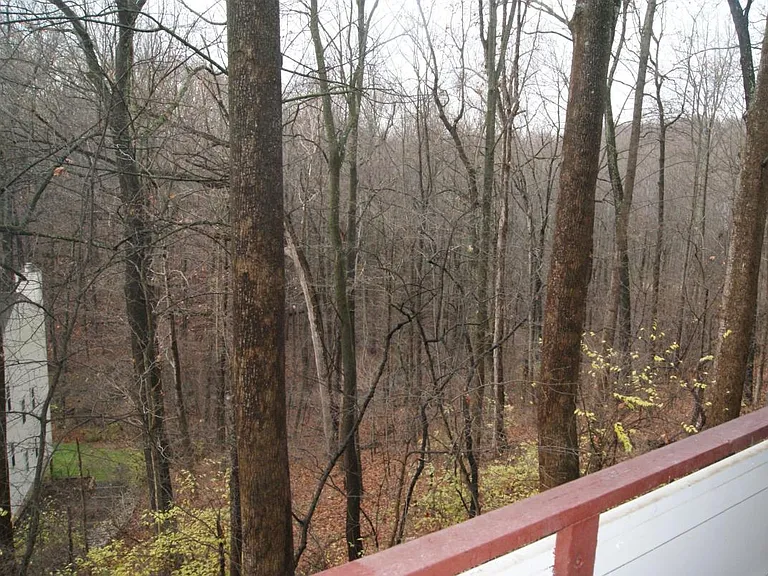 7531 Spring Lake Dr #C2 — Photo 27