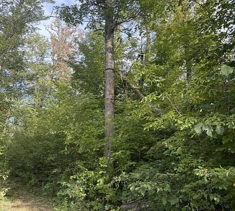 4th image of Tbd Great River Rd