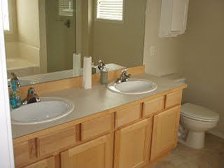 Double Vanity (master)