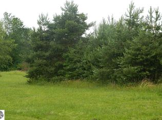 S Meridian Rd, Mount Pleasant, MI 48858