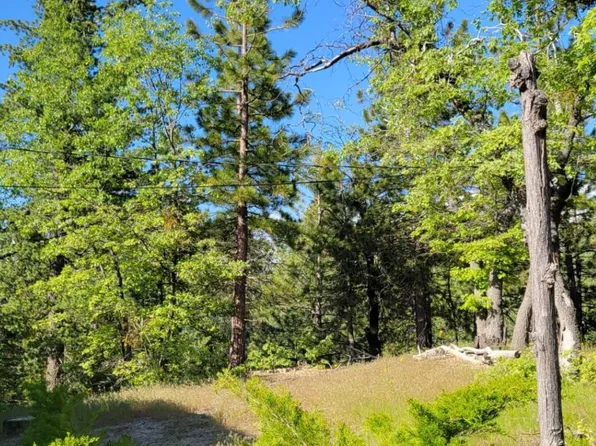 3030 Blue Bird Dr, Running Springs, CA 92382