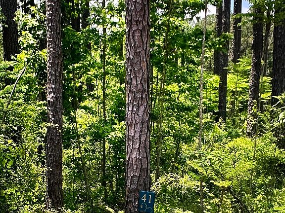 3rd image of 0 Apollo Way Lot 41