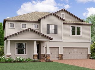 13517 White Sapphire Rd, Riverview, FL 33579