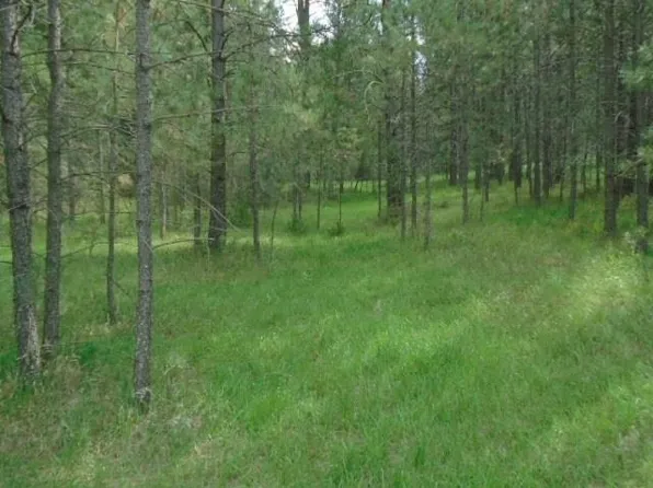 36 Silver Fox Trl, Mayhill, NM 88339