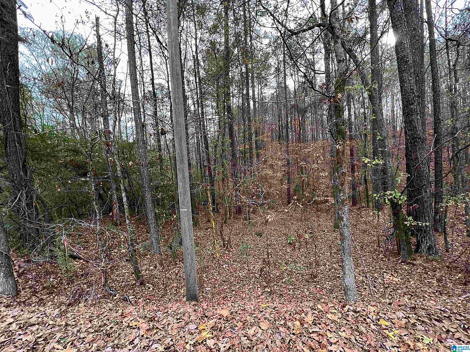 2nd image of 0 Hepzibah Church Rd #8